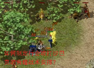 如何制定行会攻打沙巴克的合理战术安排? 如何制定行会攻打沙巴克的合理战术安排?