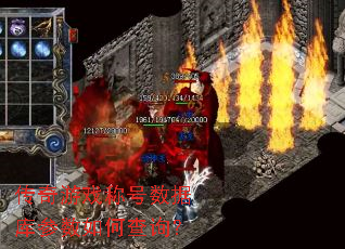 ������Ϸ�ƺ����ݿ������β�ѯ��