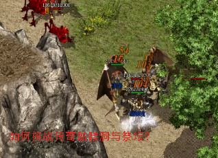 �����ս�������ö����̳��