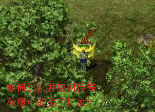 ���ʶ��Ӧ�Դ���˽���е�ƭ����ң�