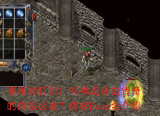 哪里能打到1.95神龙合击传奇的终极装备?终极Boss全介绍 哪里能打到1.95神龙合击传奇的终极装备?终极Boss全介绍