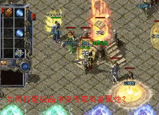 ��δ��켫Ʒ�б䴫��װ�����ԣ�