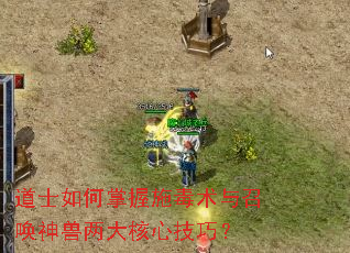 道士如何掌握施毒术与召唤神兽两大核心技巧? 道士如何掌握施毒术与召唤神兽两大核心技巧?