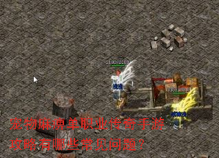 ������Ե�ְҵ�������ι�������Щ�������⣿