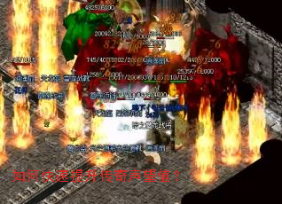 ��ο���������������ֵ��