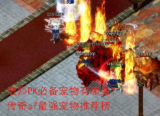 ��ʦPK�ر���������Щ������sf��ǿ�����Ƽ���