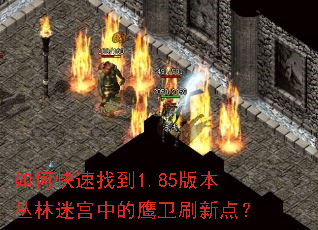 ��ο����ҵ�1.85�汾�����Թ��е�ӥ��ˢ�µ㣿