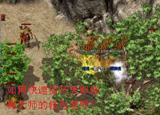 ��ο���������а�����ʦ����Ϊ���磿