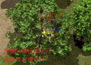 ����˽������ѧϰ���û�нݾ���