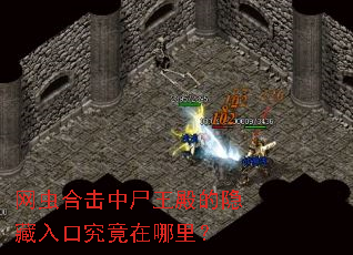 ����ϻ���ʬ�����������ھ��������