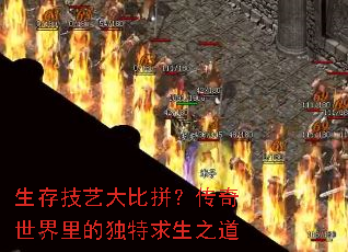 ���漼�մ��ƴ������������Ķ�������֮��