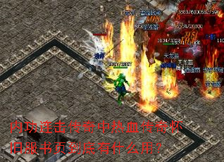 �ڹ�������������Ѫ���滳�ɷ���ҳ������ʲô�ã�