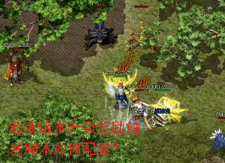 ����汾�������������ű�������ã�