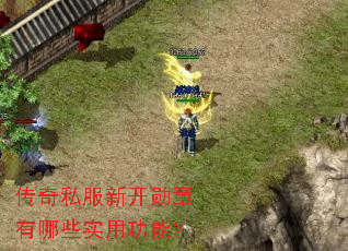 ����˽���¿�ѫ������Щʵ�ù��ܣ�