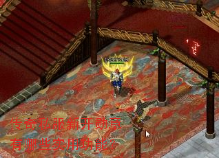 ����˽���¿�ѫ������Щʵ�ù��ܣ�