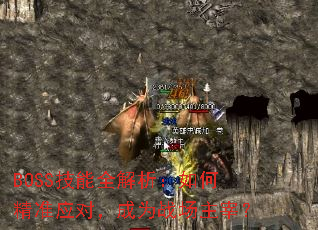 BOSS����ȫ��������ξ�׼Ӧ�ԣ���Ϊս�����ף�