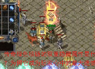 ������ɫ������˫������������ʲô��Ϊ������Ϊ������е�����ź���