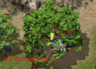 ��ʿ��ε�������ħ����