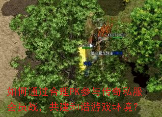 ���ͨ������PK���봫��˽����Աս��������г��Ϸ������