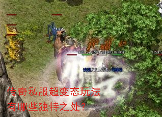 ����˽������̬�淨����Щ����֮����