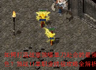 ��δ���ս���Ǻ������������ǿ��ɫ����սII��ְҵ�ռ�����ȫ����