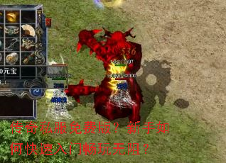 ����˽����Ѱ棿������ο������ų������裿