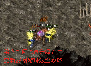 ������ο����������б��·������귨ȫ����