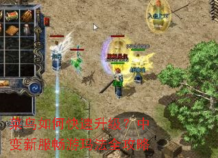 ������ο����������б��·������귨ȫ����