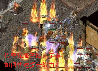 ����˽������Ԫ��Ⱥ��ο�������ս����