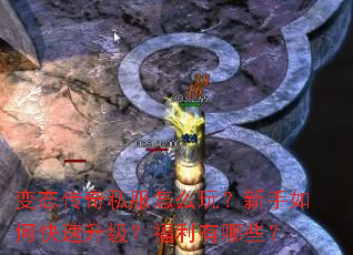 ��̬����˽����ô�棿������ο�����������������Щ��