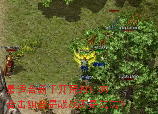 ���ʺ����ֿ��ĵ�1.80�ϻ������սս���Ƿ�����