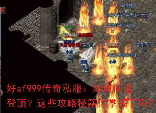 ��sf999����˽��������ʵ��Ƕ�����Щ�����ؼ�����������