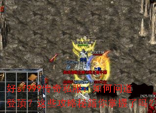 ��sf999����˽��������ʵ��Ƕ�����Щ�����ؼ�����������