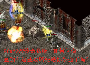 ��sf999����˽��������ʵ��Ƕ�����Щ�����ؼ�����������