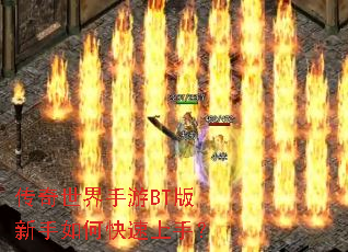 ������������BT��������ο������֣�