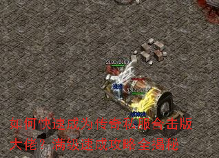 ��ο��ٳ�Ϊ����˽���ϻ�����У������ٳɹ���ȫ����