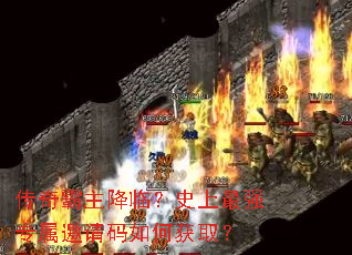 ����������٣�ʷ����ǿר����������λ�ȡ��