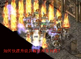 ��ο���������������װ������