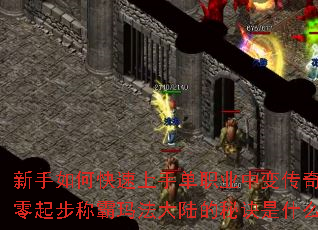 ������ο������ֵ�ְҵ�б䴫�棿�����𲽳ư��귨��½���ؾ���ʲô��