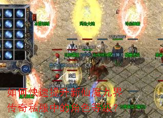 ��ο�����������ħ�Ž紫��˽���еĽ�ɫ�ȼ���