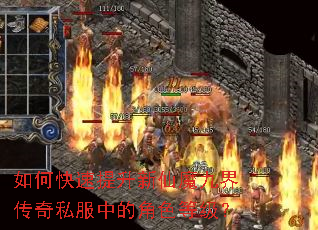 ��ο�����������ħ�Ž紫��˽���еĽ�ɫ�ȼ���