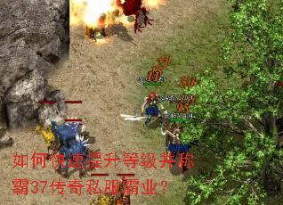 ��ο��������ȼ����ư�37����˽����ҵ��