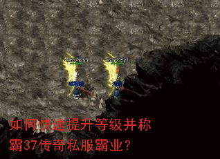 ��ο��������ȼ����ư�37����˽����ҵ��