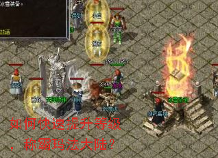 ��ο��������ȼ����ư��귨��½��