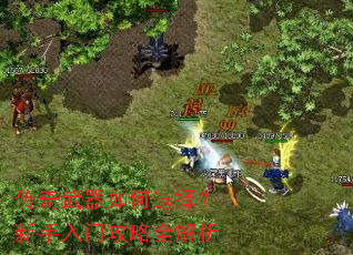 �����������ѡ���������Ź���ȫ����