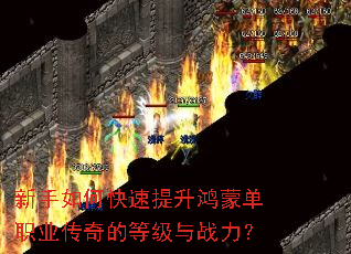 ������ο����������ɵ�ְҵ����ĵȼ���ս����