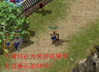�������ڴ�����Ϸ��������������GM��