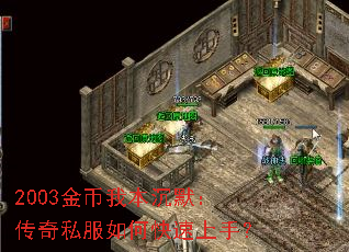 2003����ұ���Ĭ������˽����ο������֣�