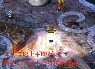 ��ο�������RO2˽��������;�����ֱؿ�����ָ��