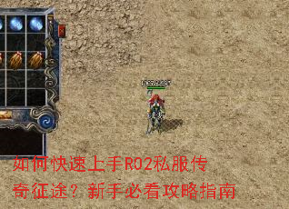 ��ο�������RO2˽��������;�����ֱؿ�����ָ��